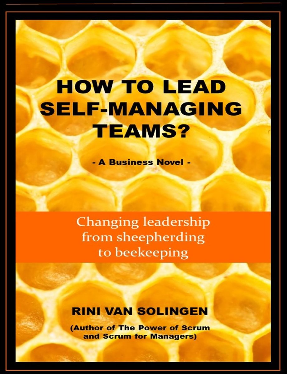 How to lead self-managing teams? – Review
